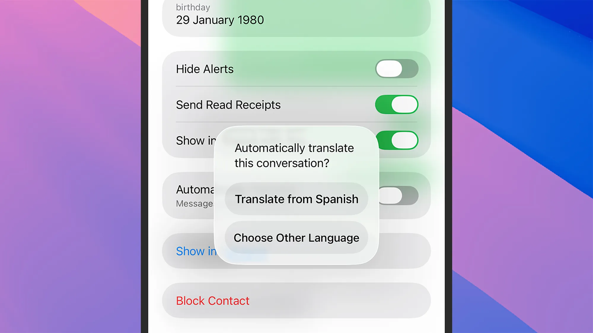 στιγμιότυπο οθόνης των επιλογών μετάφρασης