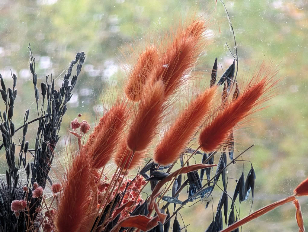 Φτηνό προστατευτικό λουλουδιών κάμερας Pixel 9 Pro XL για φακούς