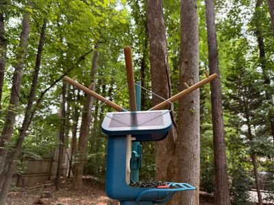 bird buddy pole close up