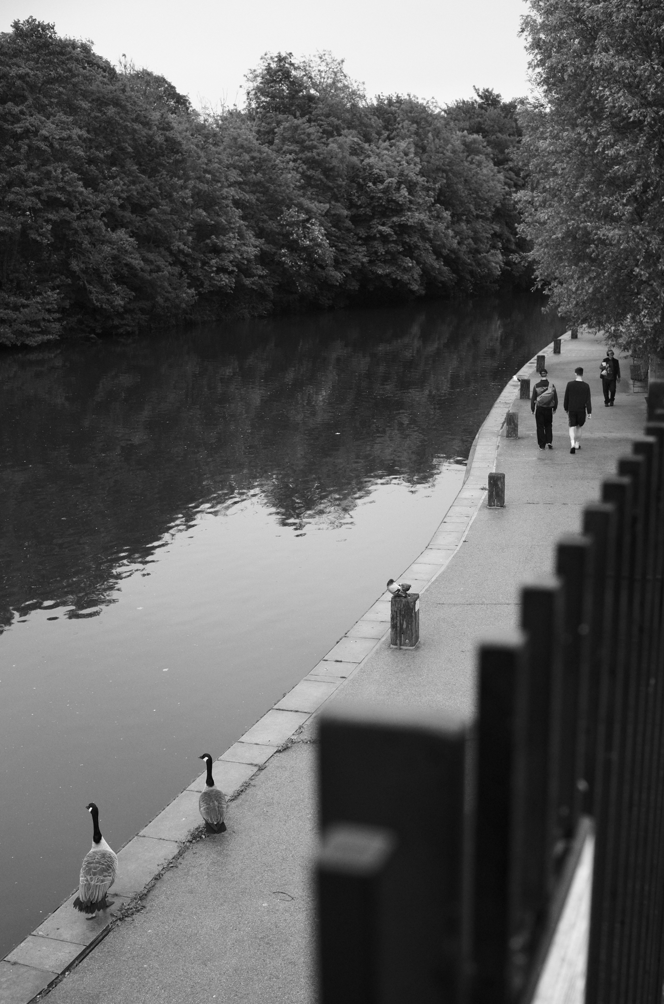 A photo of people walking by a river taken on a Leica M11-D rangefinder camera