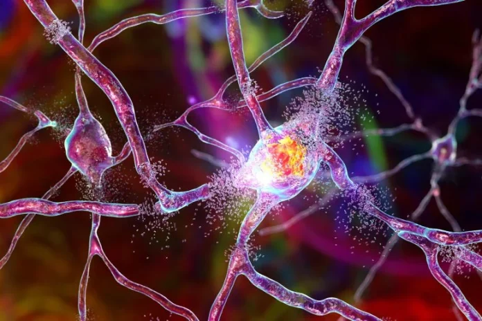 Οι επιστήμονες σπάνε τον κώδικα ενός μυστηριώδους καναλιού ιόντων που συνδέεται με τη νόσο του Πάρκινσον