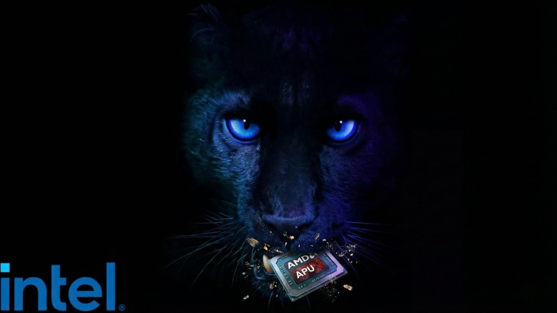 Η Intel Jabs AMD με νέα τσιπ Panther Lake, η ομάδα που ισχυρίζεται ότι η ομάδα Red πουλά το «Αρχαίο πυρίτιο» στην αγορά φορητών συσκευών