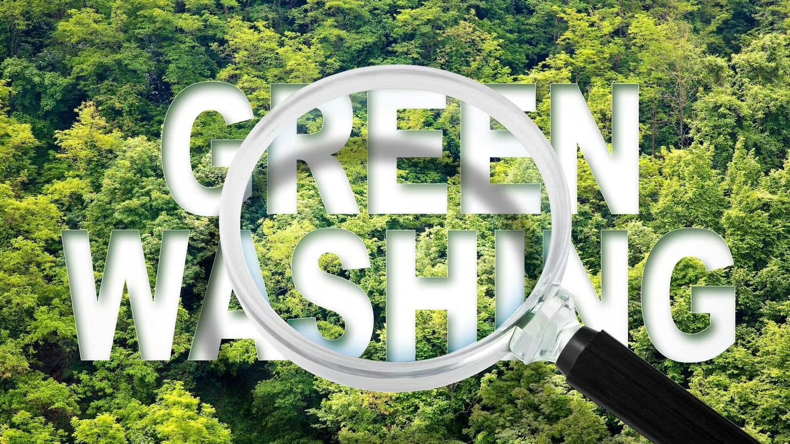 «Εκρηκτικές Αποκαλύψεις: Πώς το Greenwashing Βρίσκεται στο Σκοτάδι του 2025 και οι Κλιματικές Νίκες που Όλοι Πρέπει να Γνωρίζουν!»