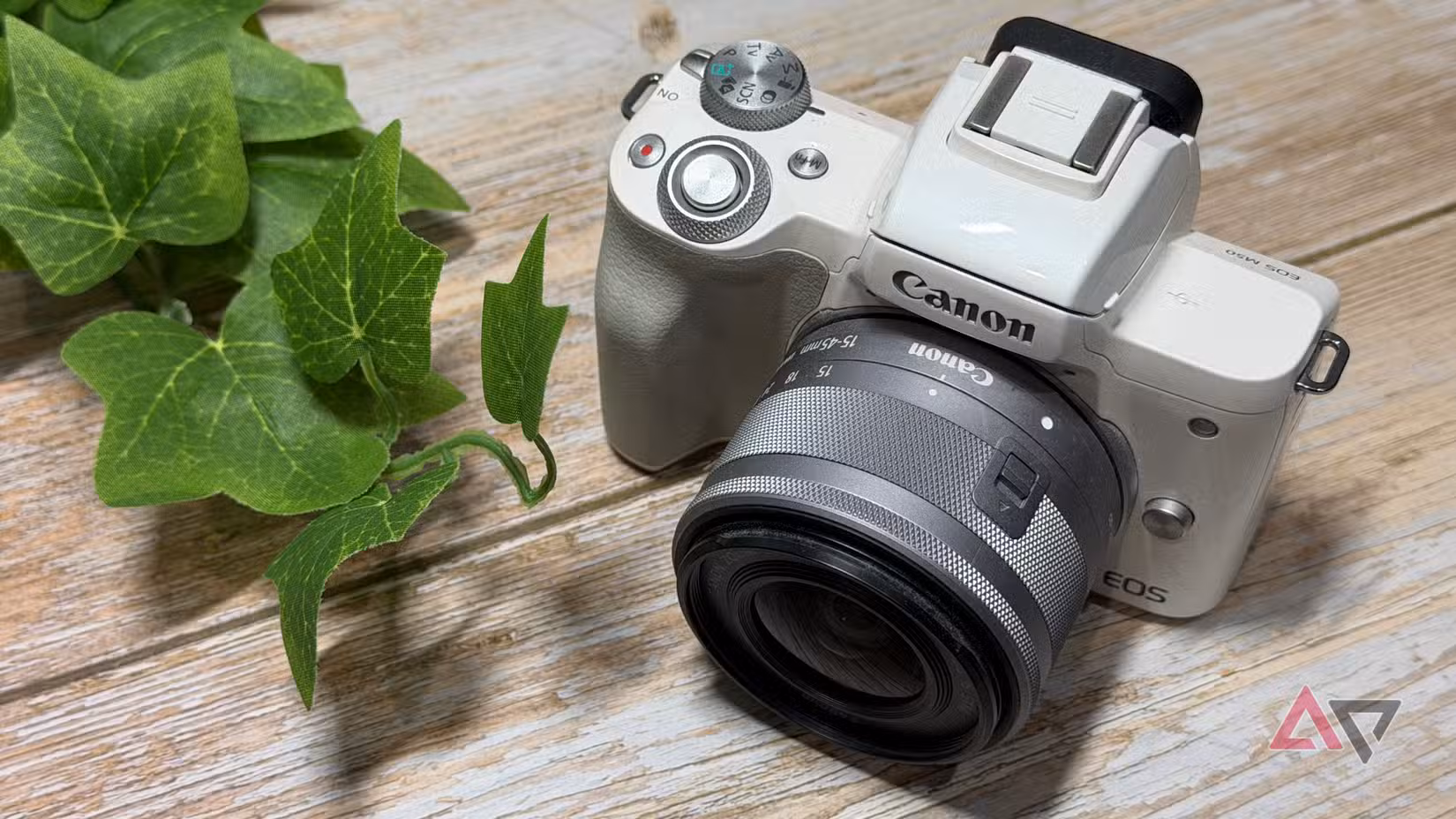 Χρησιμοποίησα έναν φορητό υπολογιστή 40 ετών και άλλαξε τον τρόπο που βλέπω την τεχνολογία το 2026 Canon M50 σε λευκό κάθεται δίπλα σε ένα φυτό
