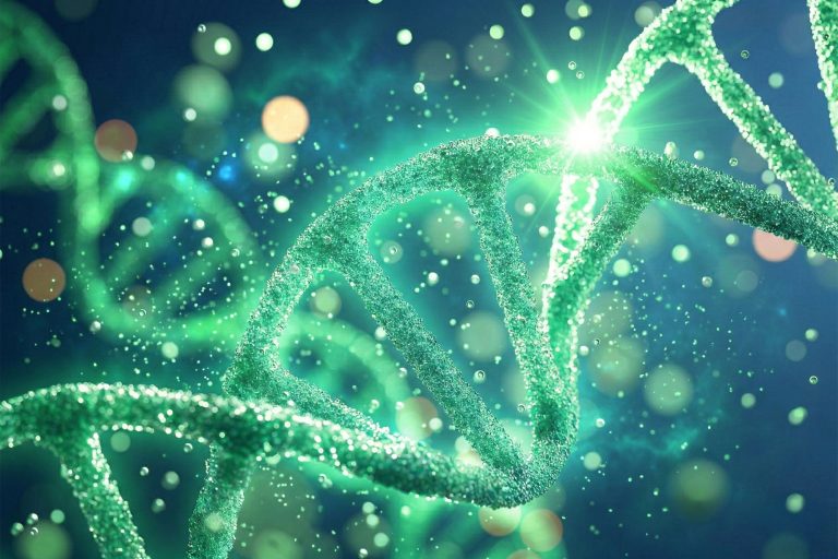 Επιστήμονες μεταφέρουν με επιτυχία το γονίδιο της μακροζωίας, ανοίγοντας το δρόμο για παράταση της ανθρώπινης ζωής