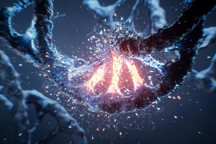 Οι επιστήμονες ανακαλύπτουν πρωτεΐνη που συνδέεται με την άνοια μπορεί επίσης να τροφοδοτήσει μεταλλάξεις στον καρκίνο Οι επιστήμονες ανακαλύπτουν πρωτεΐνη που συνδέεται με την άνοια μπορεί επίσης να τροφοδοτήσει μεταλλάξεις στον καρκίνο