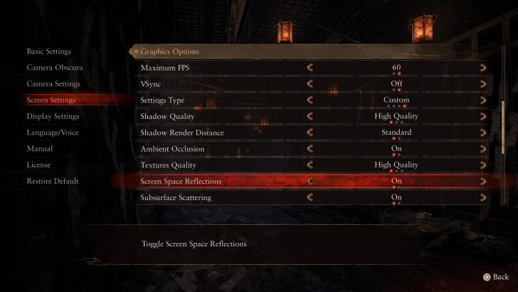 The graphics options menu from a game shows 'Screen Space Reflections' set to 'On' and other settings such as 'Maximum FPS'