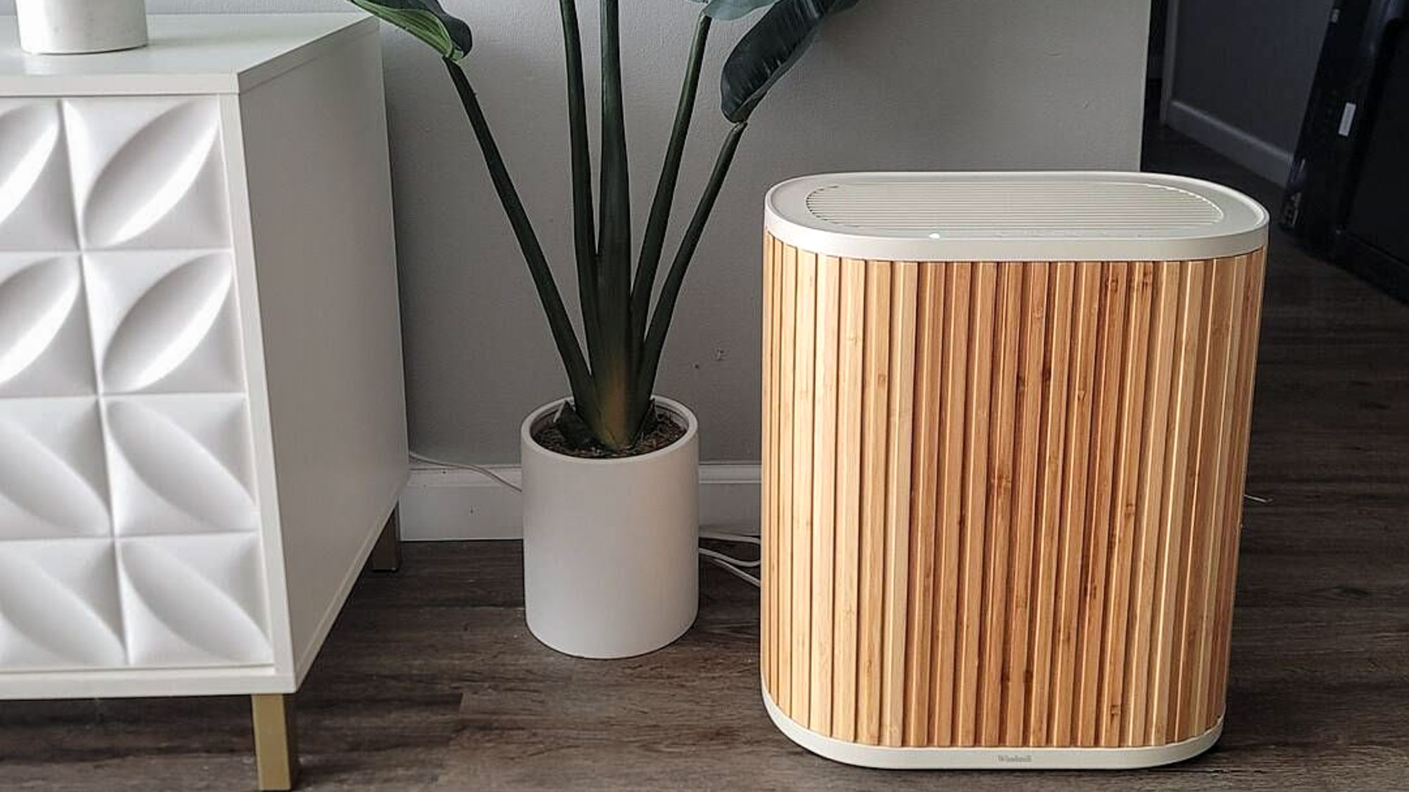 Windmill Air Purifier δίπλα σε λευκό φυτό σε γλάστρα