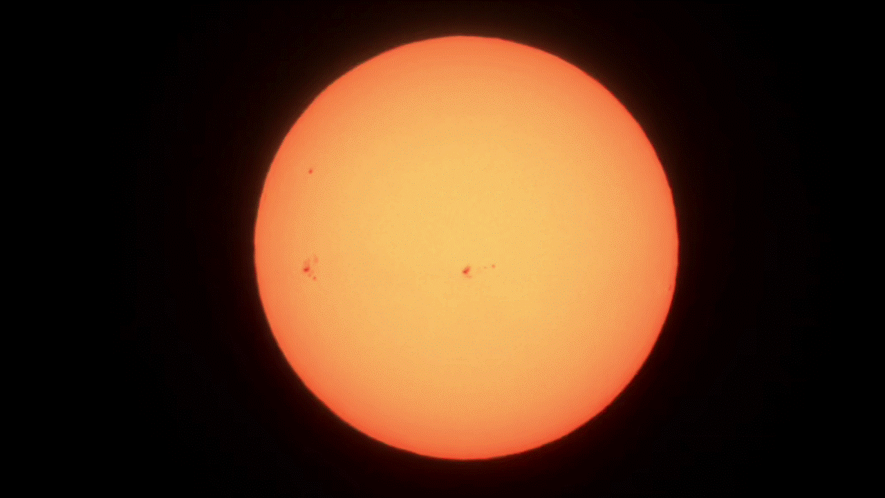 Dwarf Mini timelapse.