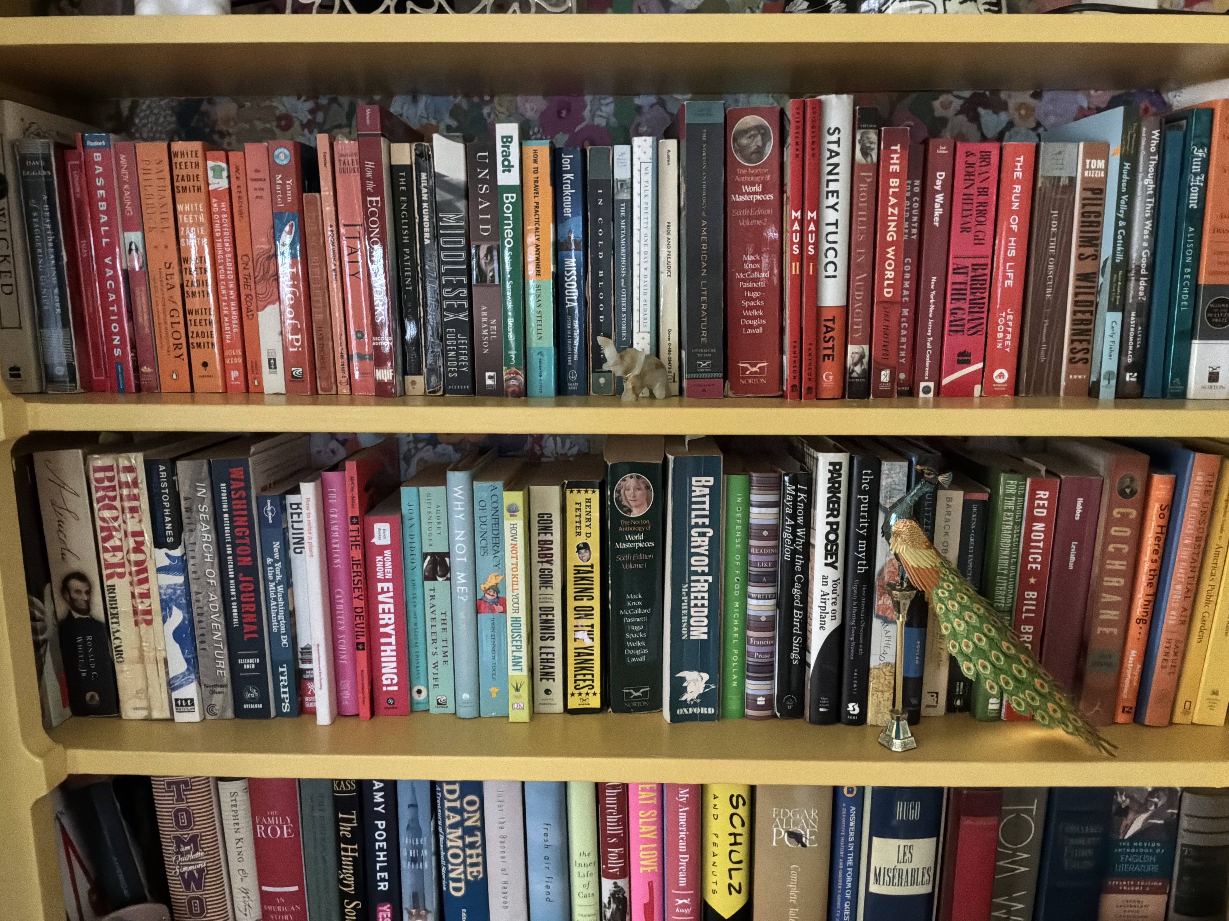 μια φωτογραφία που τραβήχτηκε με την πίσω κάμερα του iPad M4