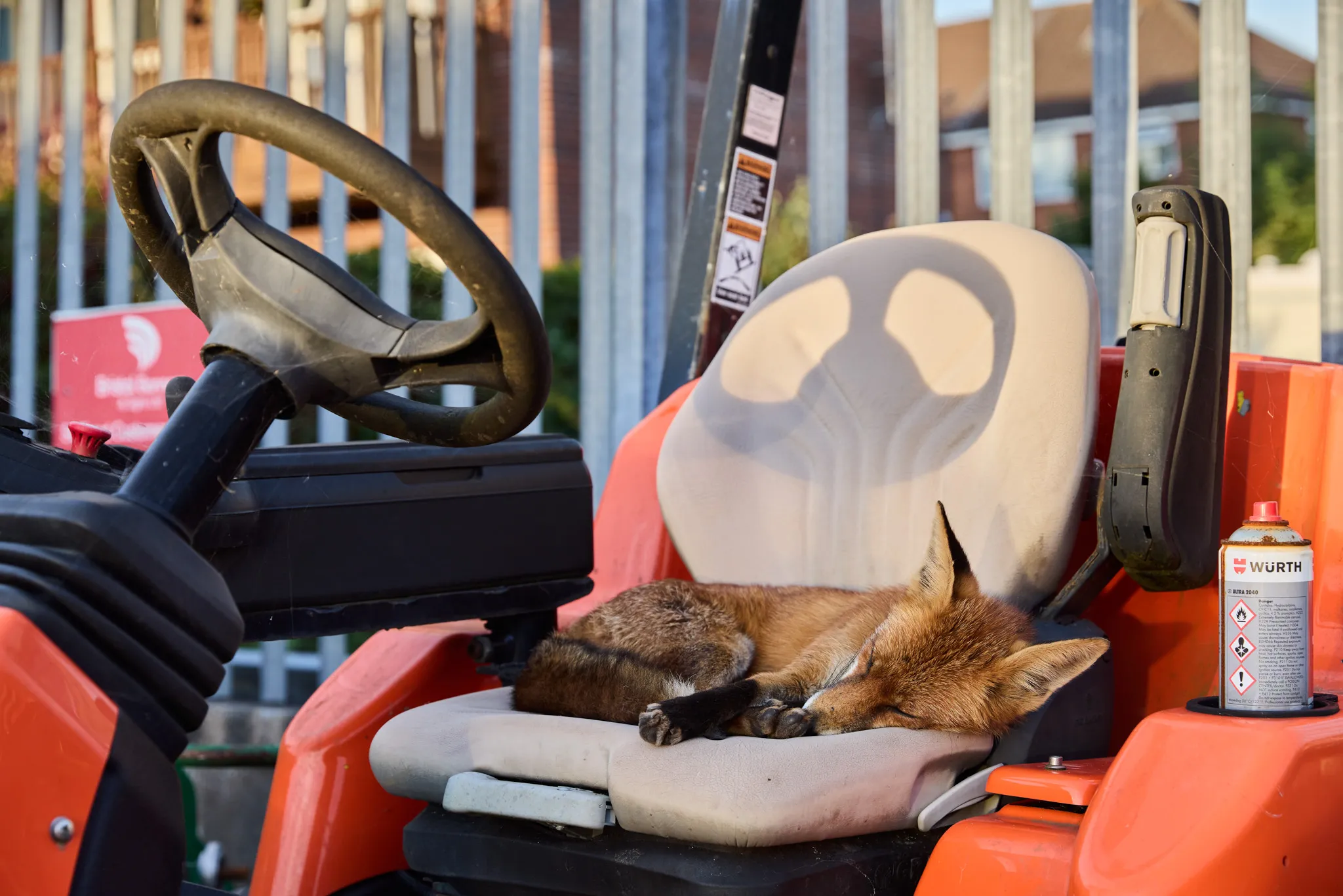 a fox sleeps in a tractor