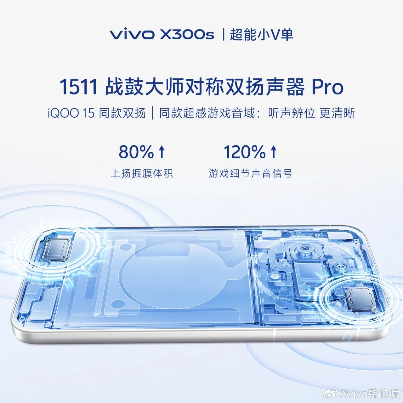 Vivo X300s