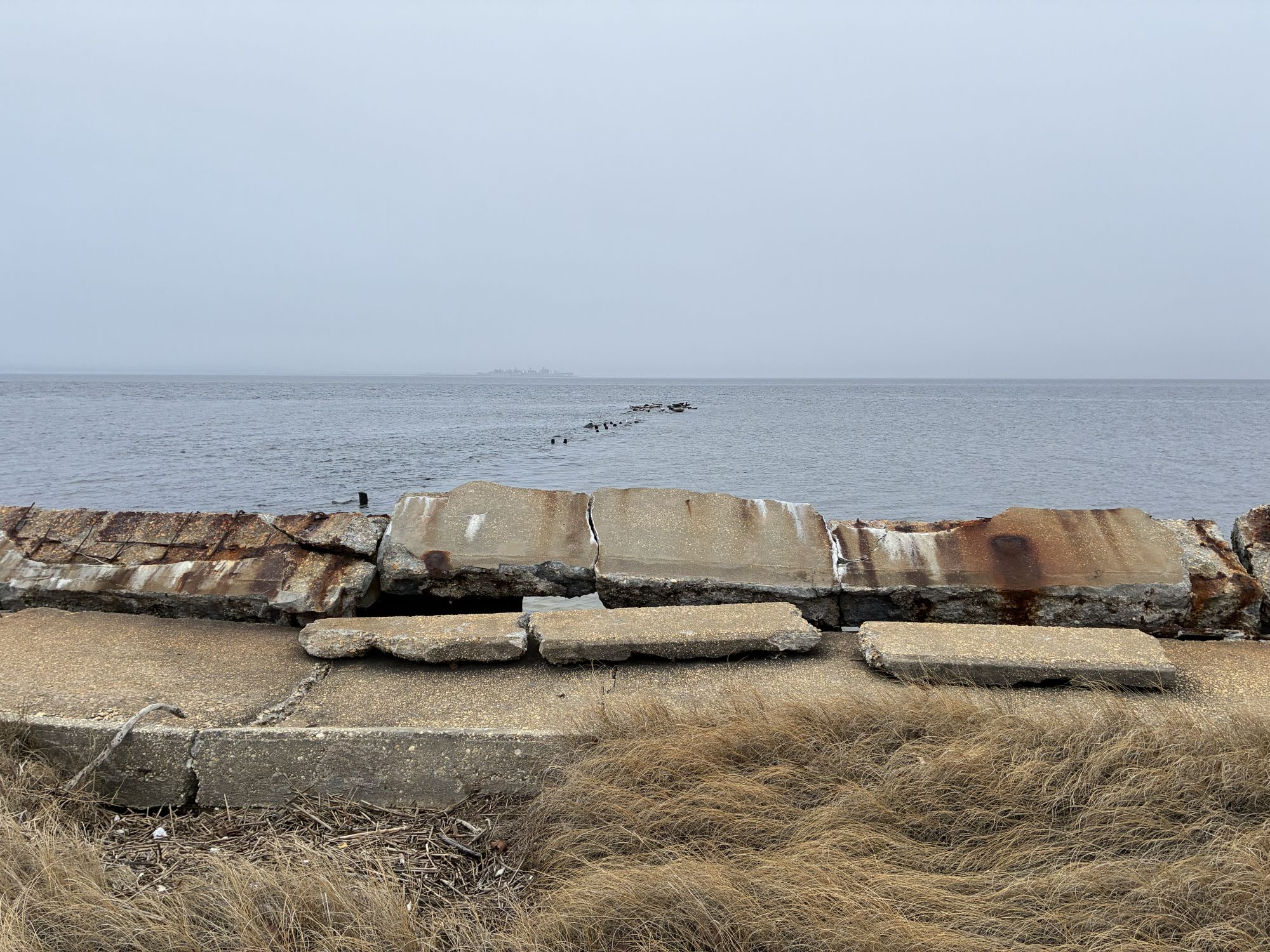 Apple iPhone 17e camera sample.