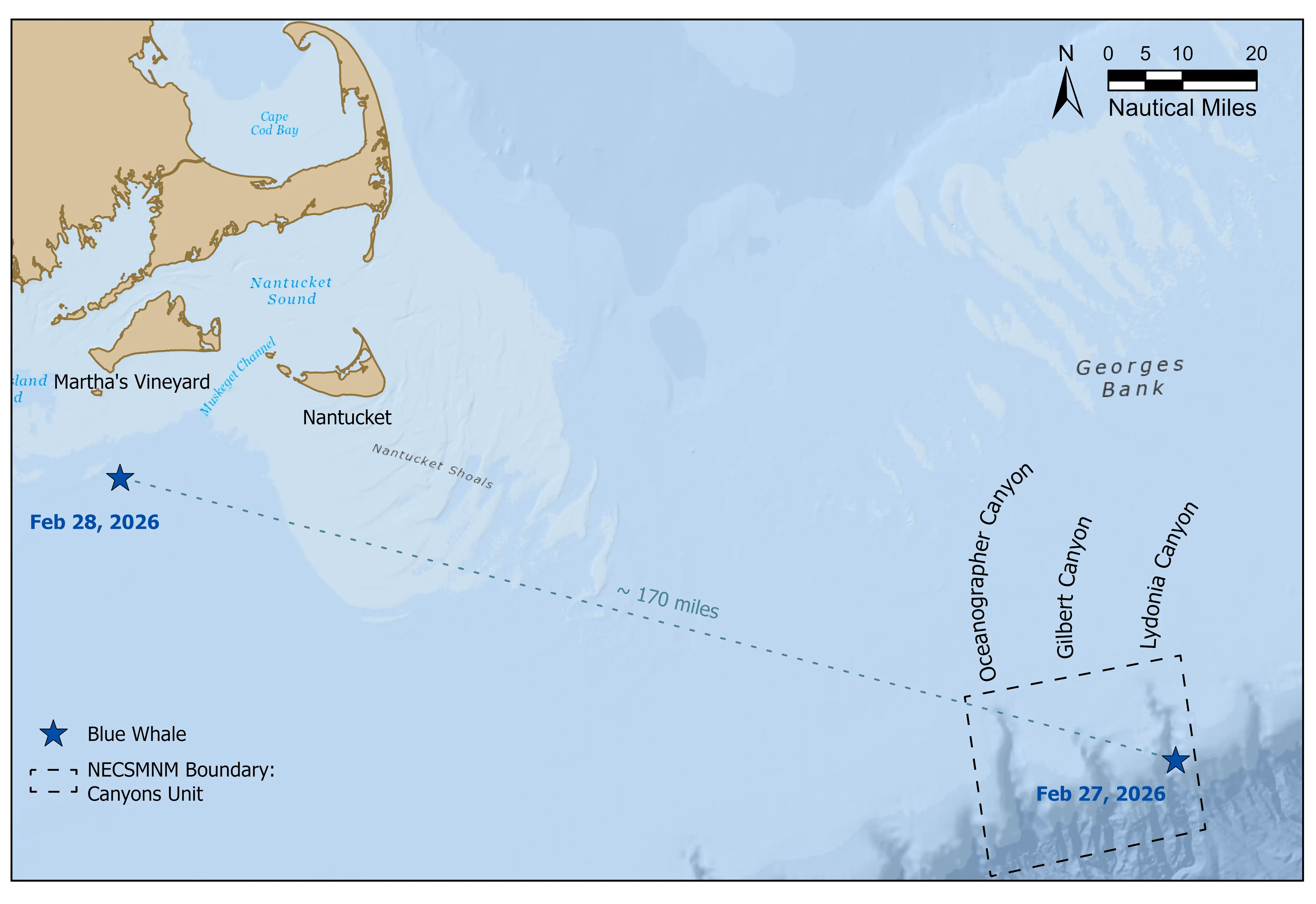 ένας χάρτης που δείχνει τη νότια ακτή της Μασαχουσέτης. τα αστέρια δείχνουν πού εντοπίστηκαν οι μπλε φάλαινες στις 27 και 28 Φεβρουαρίου