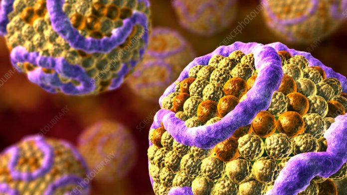 Νέες οδηγίες για τη χοληστερόλη – Τα βασικά σημεία Νέες οδηγίες για τη χοληστερόλη – Τα βασικά σημεία