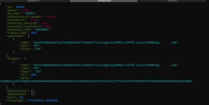 Καταγραφή επικοινωνίας DNS