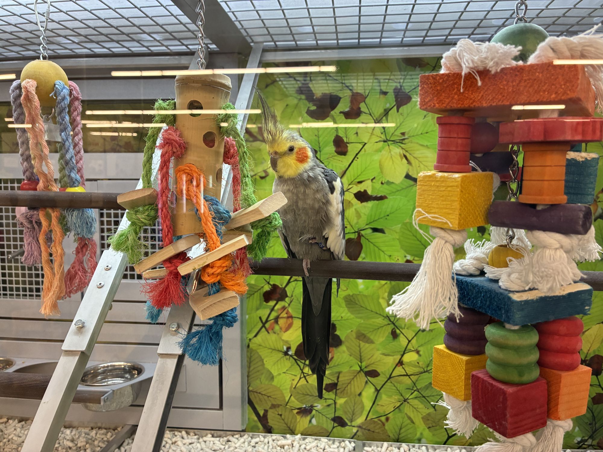 Apple iPhone 16e camera sample.