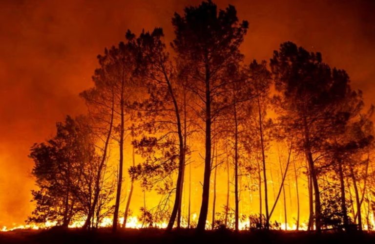 Κλιματική αλλαγή: Η Μεσόγειος φλέγεται –