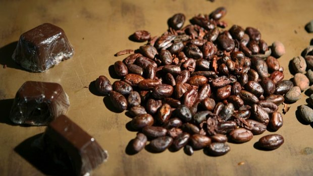 Έφτιαξαν… σοκολατένιο μέλι με ισχυρές αντιοξειδωτικές ιδιότητες