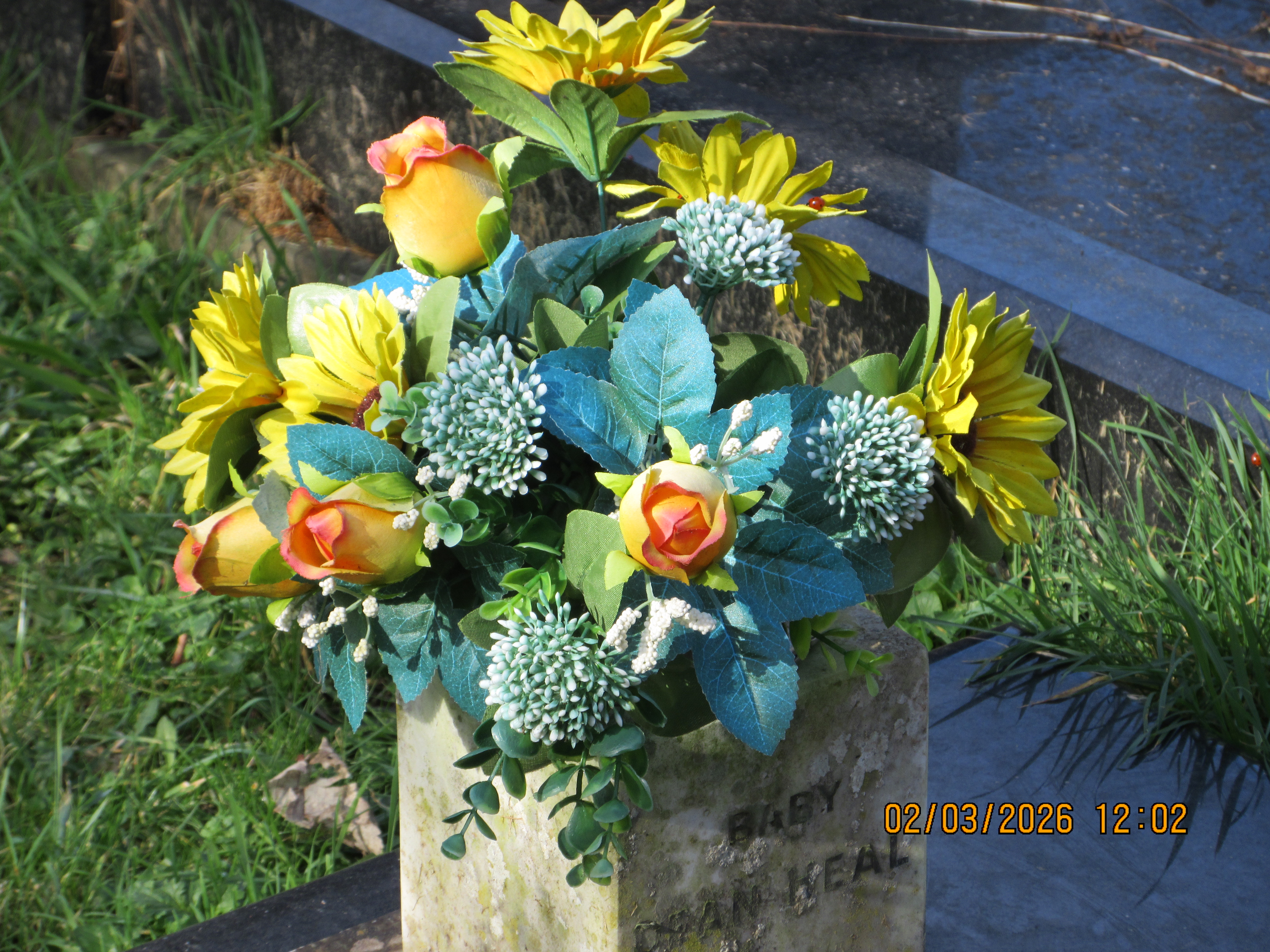 Μια φωτογραφία που τραβήχτηκε σε μια κάμερα Canon PowerShot Elph 360 HS A / IXUS 285 HS Μια συμπαγής κάμερα