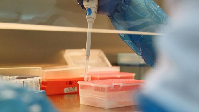 Επιστήμονες δημιούργησαν τον πρώτο οισοφάγο σε εργαστήριο Επιστήμονες δημιούργησαν τον πρώτο οισοφάγο σε εργαστήριο