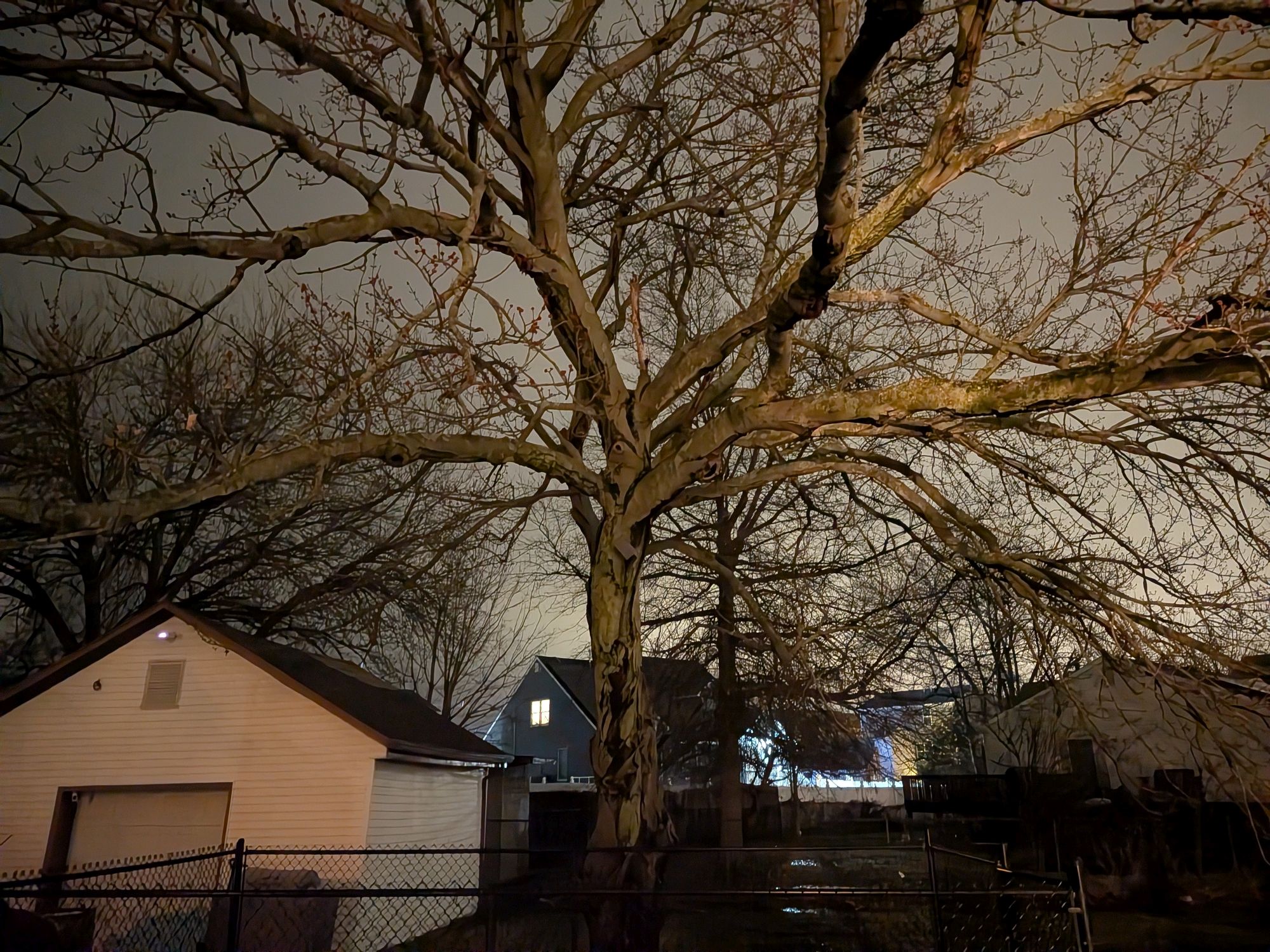 Google Pixel 10a camera sample.