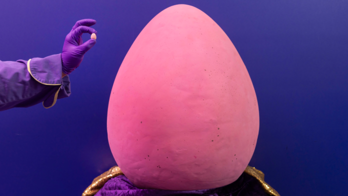 Το μεγαλύτερο αυγό Cadbury Mini στον κόσμο ζυγίζει όσο ένα emu Το μεγαλύτερο αυγό Cadbury Mini στον κόσμο ζυγίζει όσο ένα emu