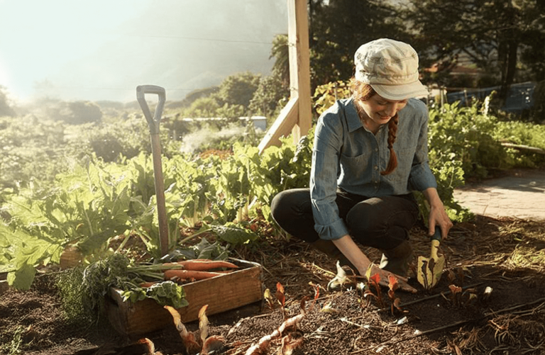 ΕΕ: Εγκαινιάστηκε πλατφόρμα για τις γυναίκες στη γεωργία –