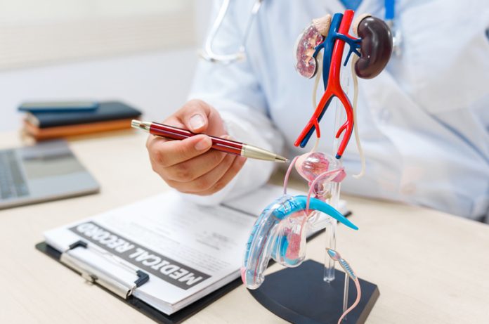 Η σημασία της πρόληψης στη νεφρική νόσο Η σημασία της πρόληψης στη νεφρική νόσο