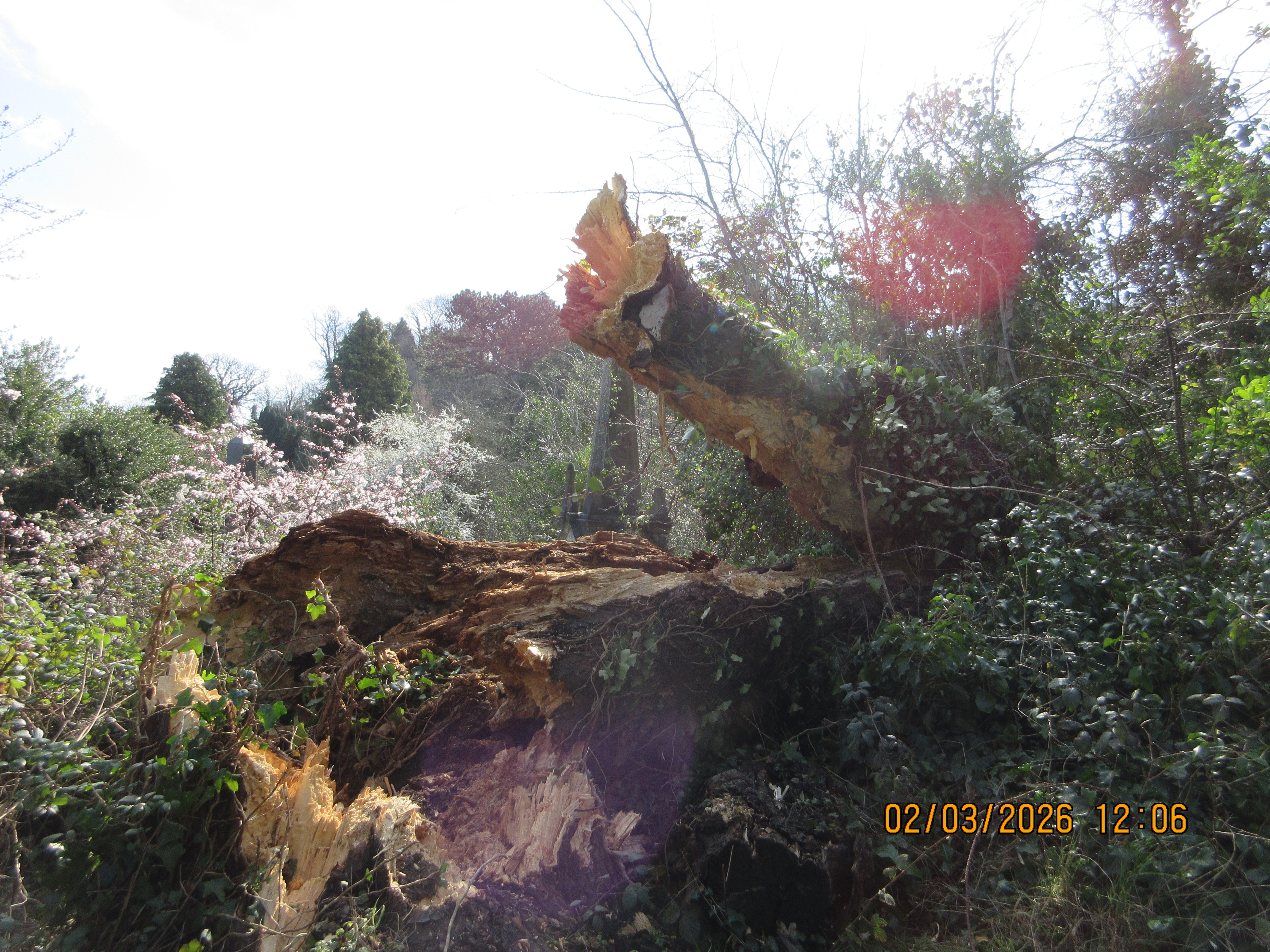 Μια φωτογραφία που τραβήχτηκε σε μια κάμερα Canon PowerShot Elph 360 HS A / IXUS 285 HS Μια συμπαγής κάμερα