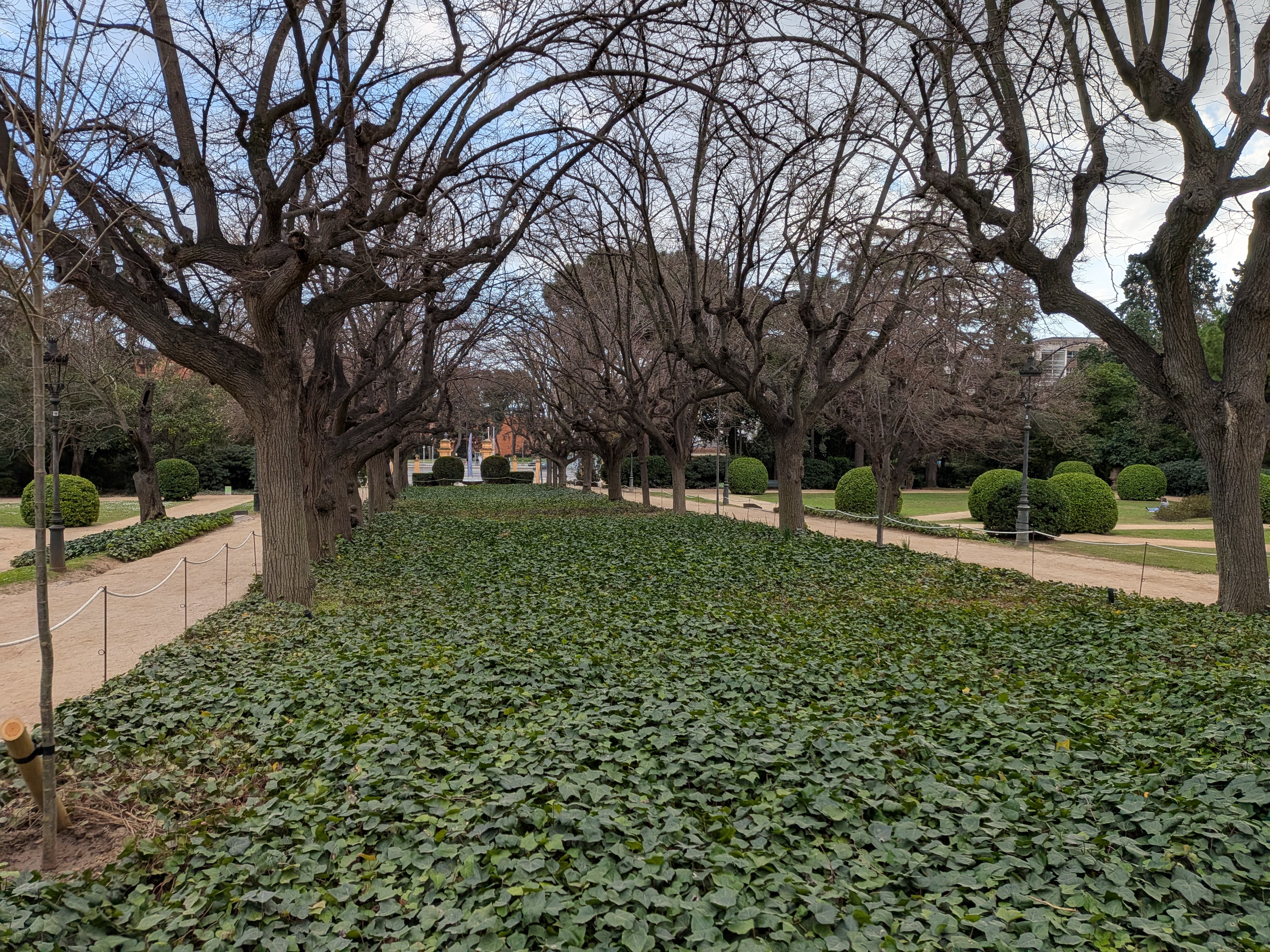 Φωτογραφίες που τραβήχτηκαν με το Google Pixel 10a.