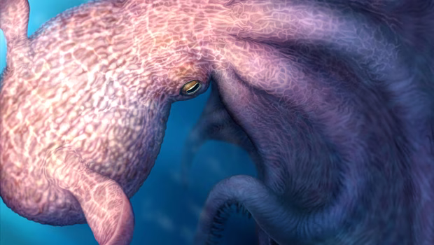 Αρπακτικά χταπόδια 20 μέτρων: Οι κυρίαρχοι των κρητιδικών θαλασσών Αρπακτικά χταπόδια 20 μέτρων: Οι κυρίαρχοι των κρητιδικών θαλασσών