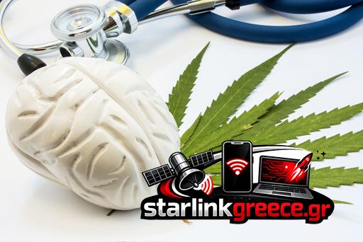 Κάνναβη και Εγκέφαλος: Τι Λέει η Έρευνα το 2026 Κάνναβη και Εγκέφαλος: Τι Λέει η Έρευνα το 2026