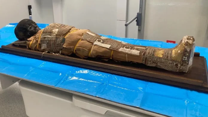 «Μυστήριο αντικείμενο σε 2.000 ετών αιγυπτιακή μούμια» «Μυστήριο αντικείμενο σε 2.000 ετών αιγυπτιακή μούμια»