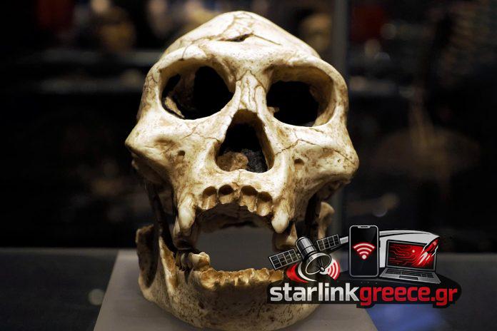 Αποκαλύψεις απροσδόκητων γενετικών σχέσεων από 100.000χρονα απολιθώματα Νεάντερταλ στην Πολωνία Αποκαλύψεις απροσδόκητων γενετικών σχέσεων από 100.000χρονα απολιθώματα Νεάντερταλ στην Πολωνία