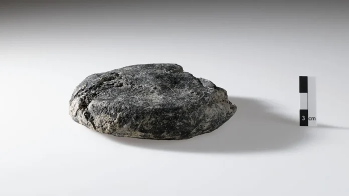 Ανακάλυψη 2.000 ετών: Ρωμαϊκή πίτα σε εργοτάξιο Ανακάλυψη 2.000 ετών: Ρωμαϊκή πίτα σε εργοτάξιο