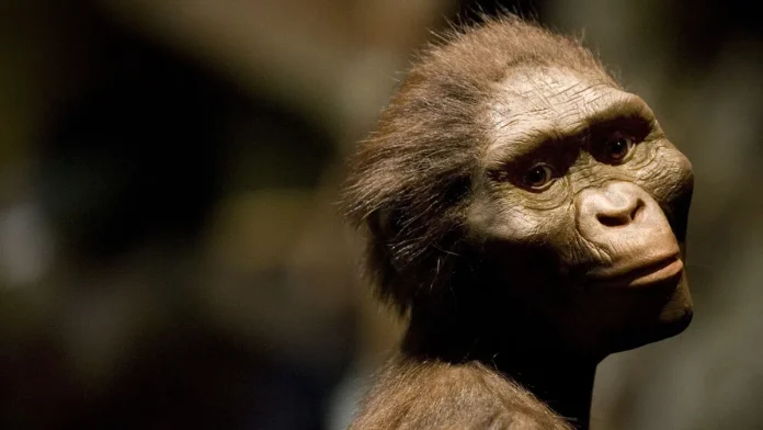 «Ανακαλύψτε γιατί οι ουρές δεν είναι για τους ανθρώπους!» «Ανακαλύψτε γιατί οι ουρές δεν είναι για τους ανθρώπους!»