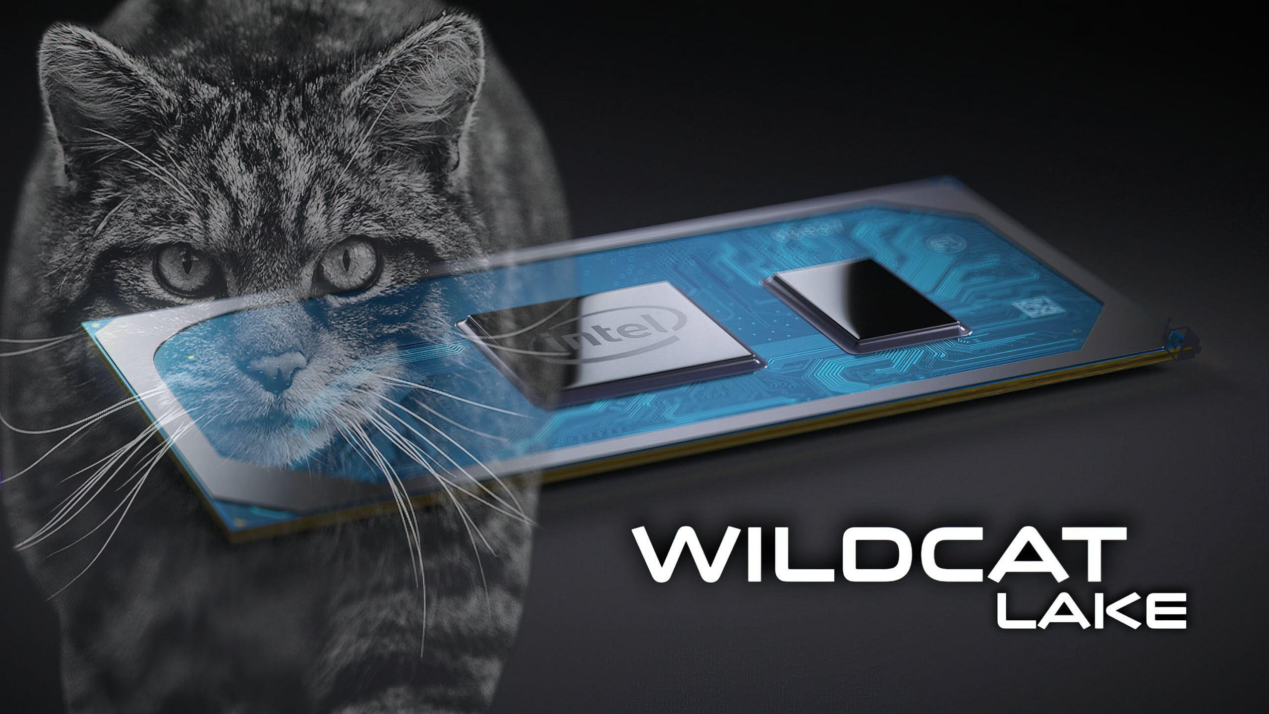 Τσιπ Intel Wildcat Lake που εμφανίζει την καινοτομία της τεχνολογίας.