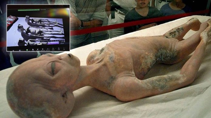 «Αποκαλύψεις για UFO: 4 εξωγήινα είδη στα χέρια των ΗΠΑ» «Αποκαλύψεις για UFO: 4 εξωγήινα είδη στα χέρια των ΗΠΑ»
