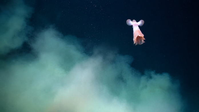 «Greenpeace: Η αποστολή στην Αρκτική και ο κίνδυνος εξορύξεων» «Greenpeace: Η αποστολή στην Αρκτική και ο κίνδυνος εξορύξεων»